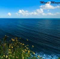 Dettagli dal Cilento