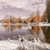 La neve sull&#039;acqua